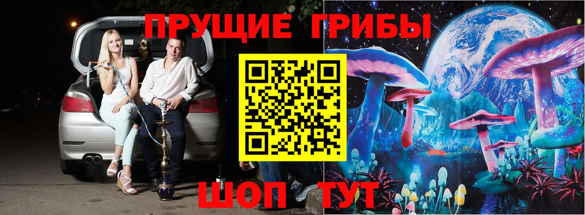 Псилоцибиновые грибы GOLDEN TEACHER Камышлов